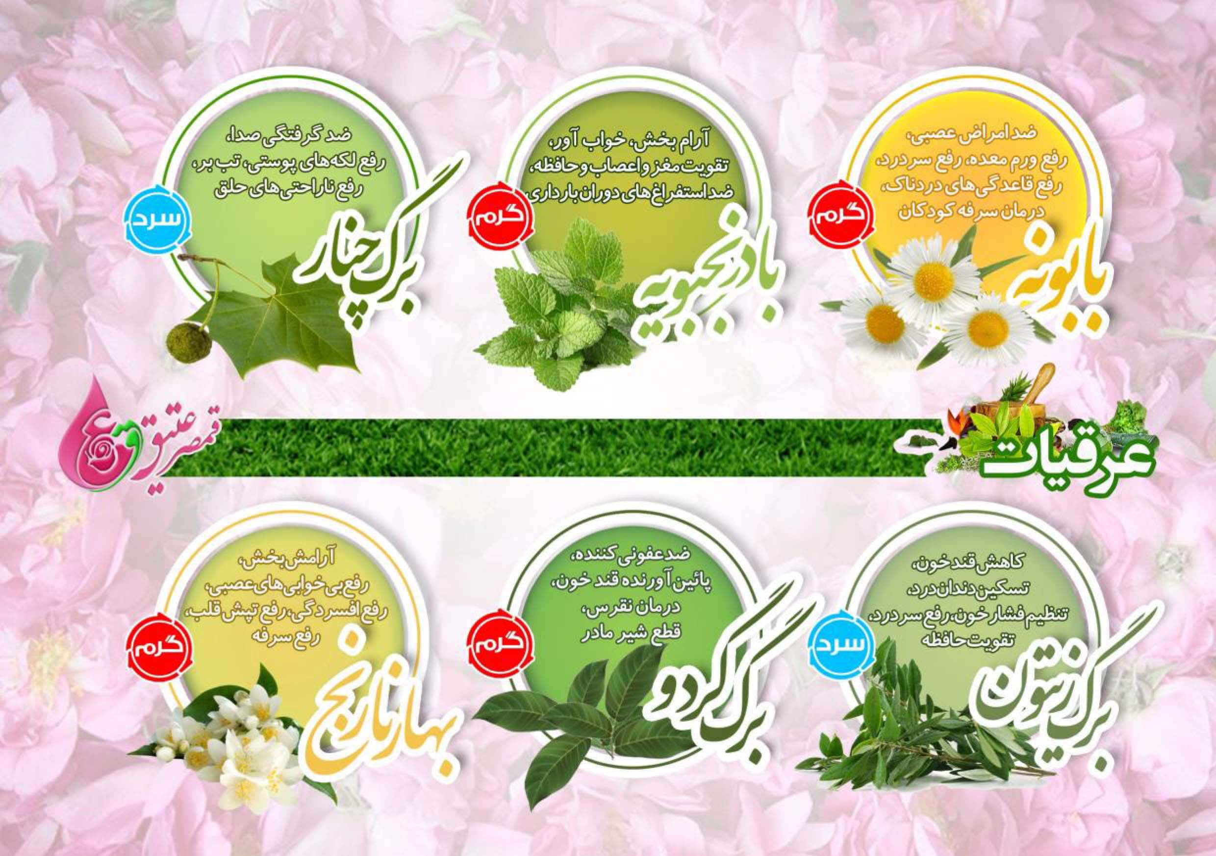 خرید عرقیات قمصر کاشان